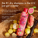 amika x Ellis Brooklyn Guava Granita Perk Up Dry Shampoo