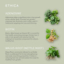 Illustration of green vegetables with text about adenosine, biotin, and majus root on a light green background.
