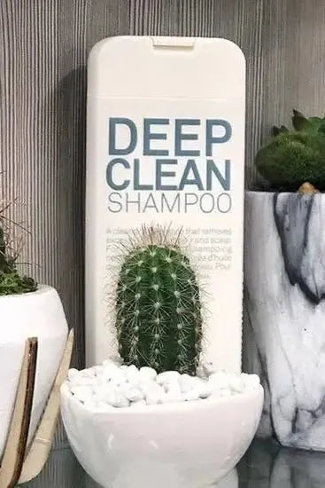Shampoo bottle labeled 'Deep Clean Shampoo' with cacti in the background - Hair Care Canada